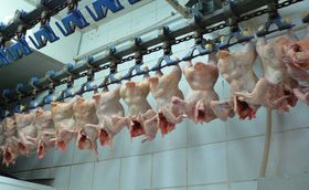 Várhatóan egyszer&ucirc;sített eljárással szüntetik meg a Pannon Szárnyas Kft.-t