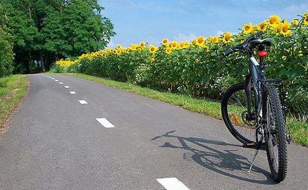 Kerékpárút korszerűsítés Téten