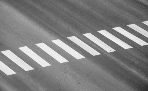 Okoszebrák létesültek Győrben