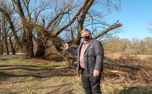 Megújul a Kovalter szabadstrand Győrött