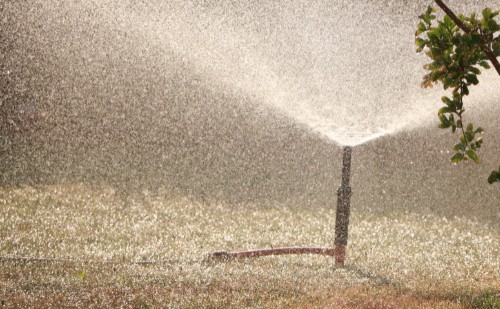 Elkészült az újabb automata öntözőrendszer